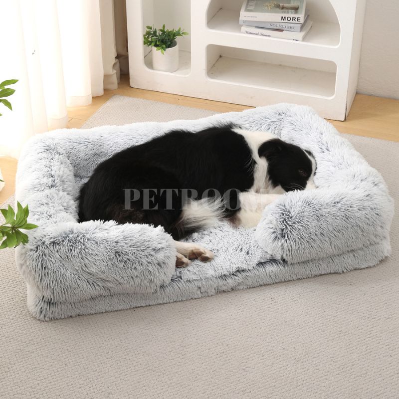 A white and balck dog sleeping in a light Dog beds that's on a carpet with shelves, plants and three books behind