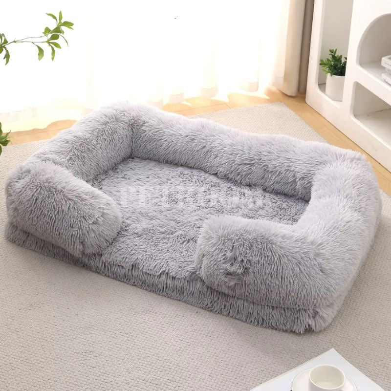 A light grey Dog beds on a carpet with shelves and plants behind