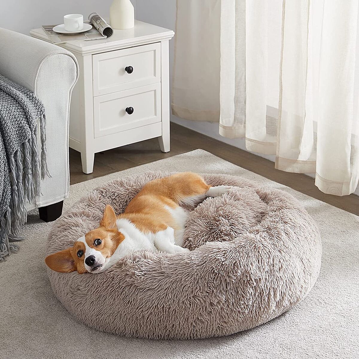 Paniers pour chiens | Home Essentials™