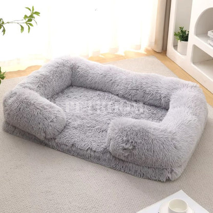 A light grey Dog beds on a carpet with shelves and plants behind