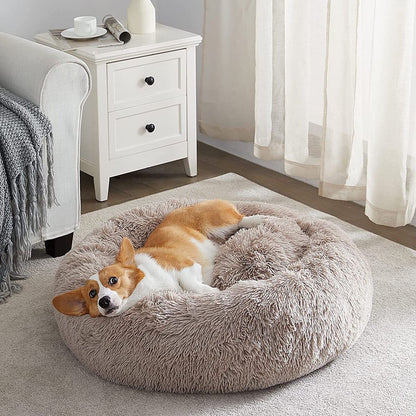 Paniers pour chiens | Home Essentials™
